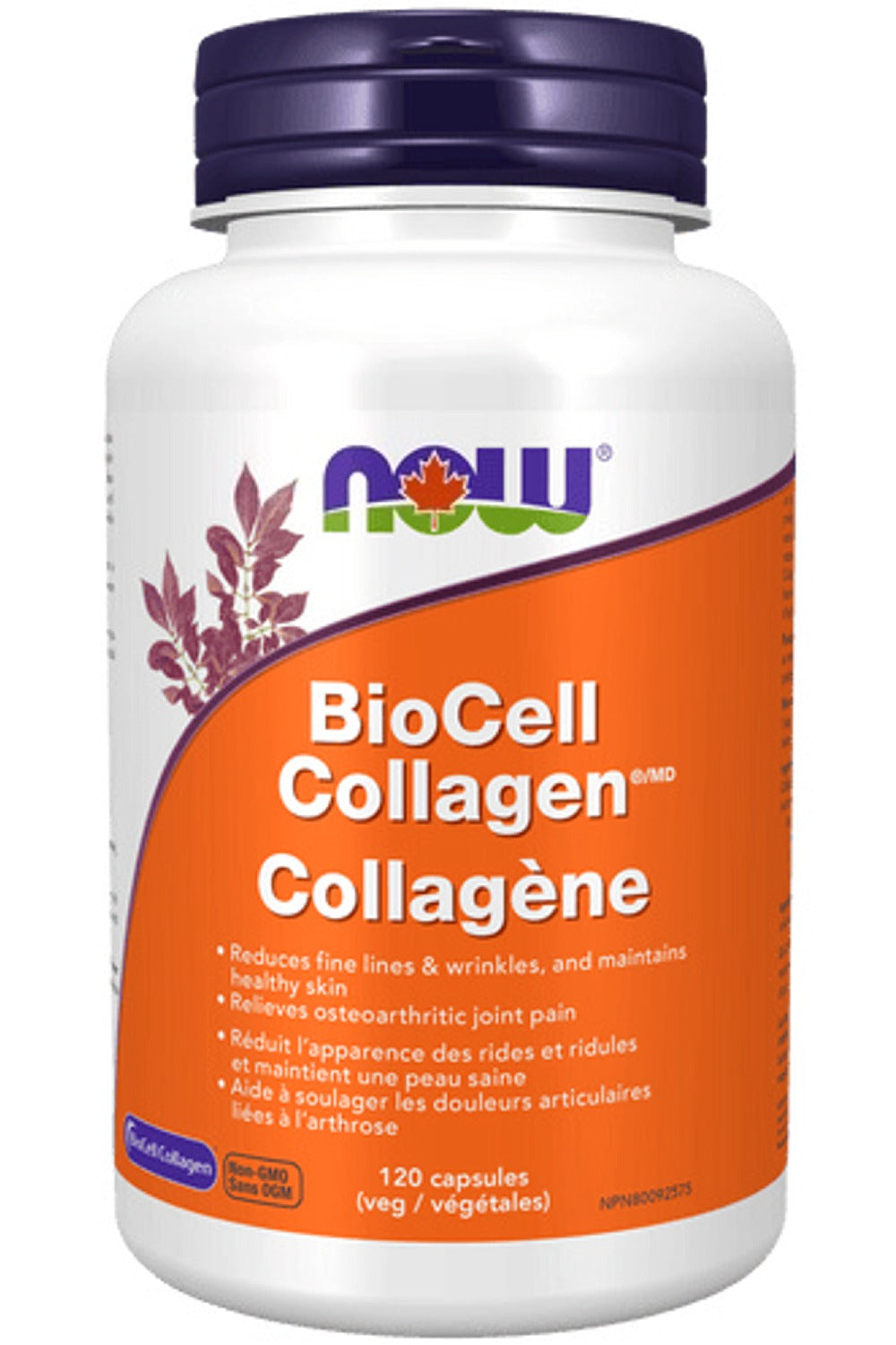 NOW BioCell Collagen (Type II 500 mg 120 vcaps)