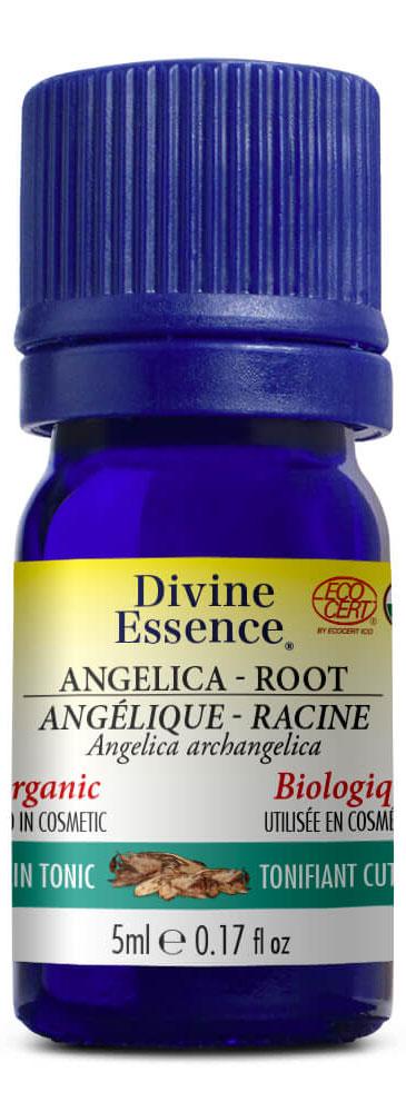 DIVINE ESSENCE Angelica - Root (Organic - 5 ml)
