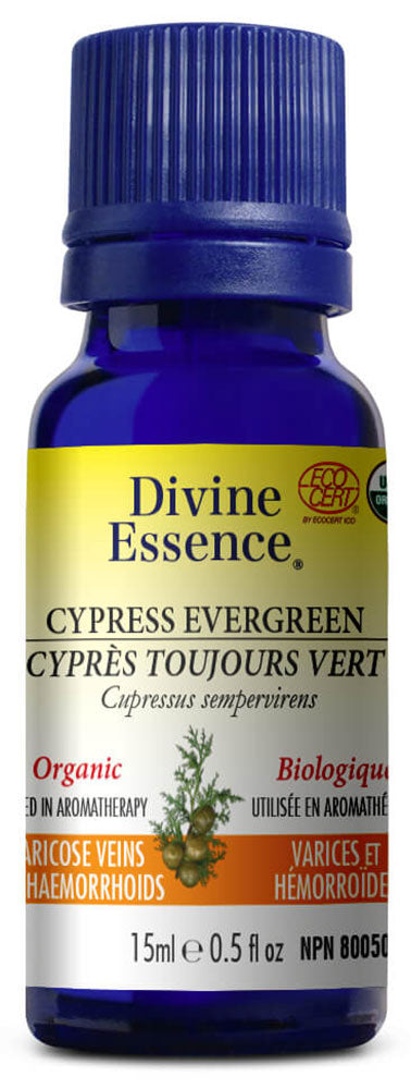 DIVINE ESSENCE Cypress - Evergreen (Organic - 15 ml)