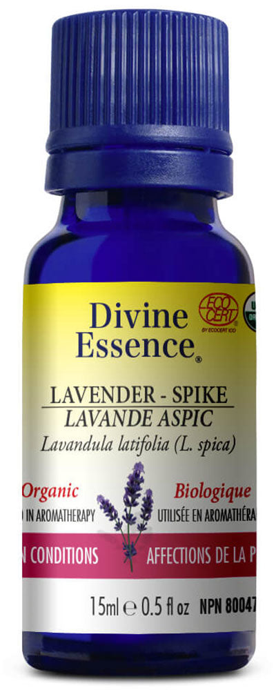 DIVINE ESSENCE Lavender - Spike (Organic - 15 ml)