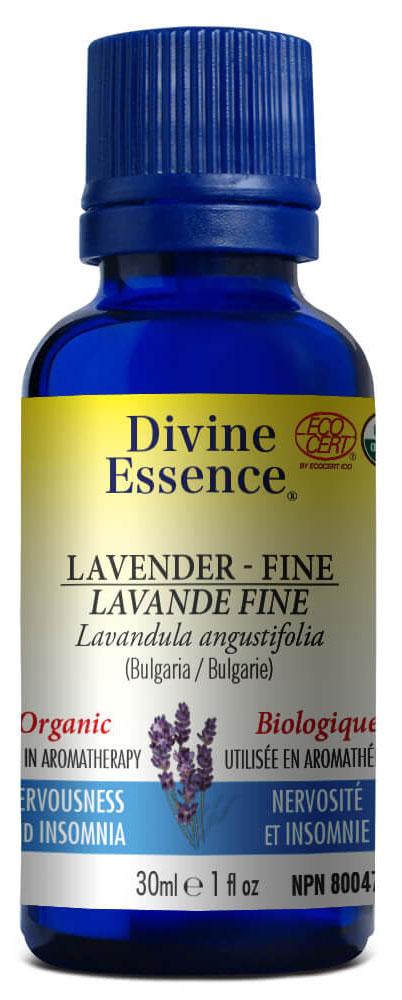 DIVINE ESSENCE Lavender - Fine (Organic - 30 ml)