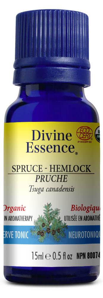 DIVINE ESSENCE Spruce - Hemlock (Organic - 15 ml)