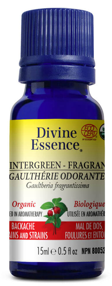 DIVINE ESSENCE Wintergreen - Fragrant (Organic - 15 ml)