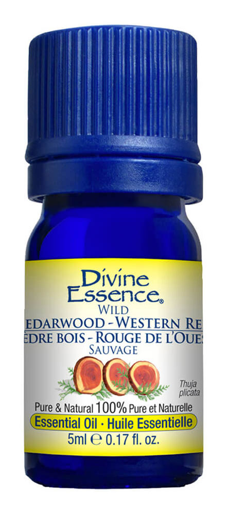 DIVINE ESSENCE Cedarwood - Western Red (Wild - 5 ml)