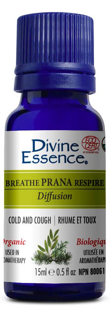 DIVINE ESSENCE Air Purifier - Breathe (Org - 110 ml)